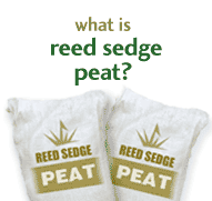 What is Reed Sedge Peat / Peat Moss?