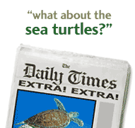 What about the Sea Turtles?